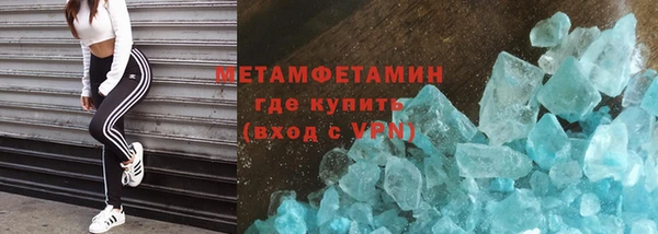 шишки Абаза