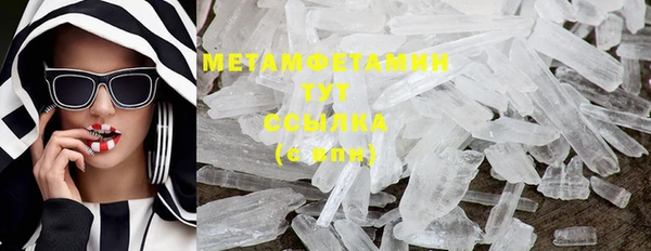 шишки Абаза