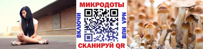 купить Богданович Галлюциногенные грибы мицелий